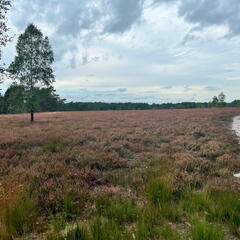 23-09-18 14-19-09 7050